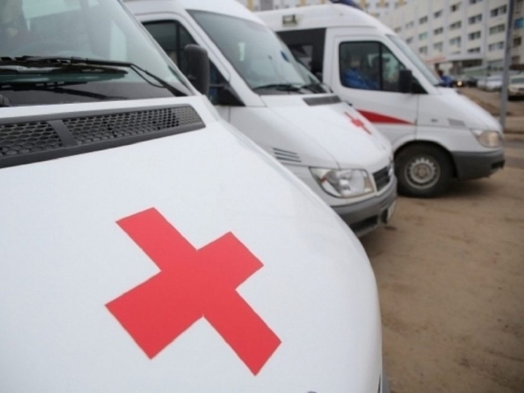     © Фото: ИД «Волгоградская правда» / архив.