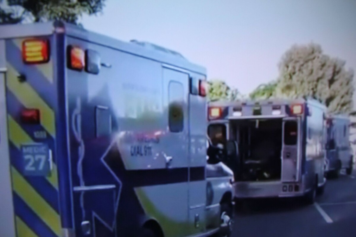     / Источник: © Global Look Press