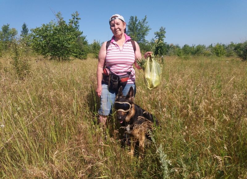 Фото автора