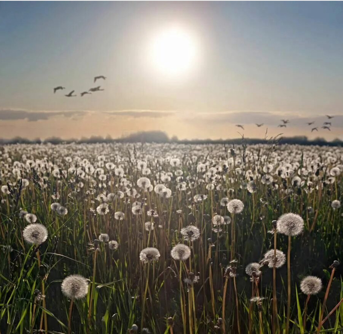 Изображение из открытых источников