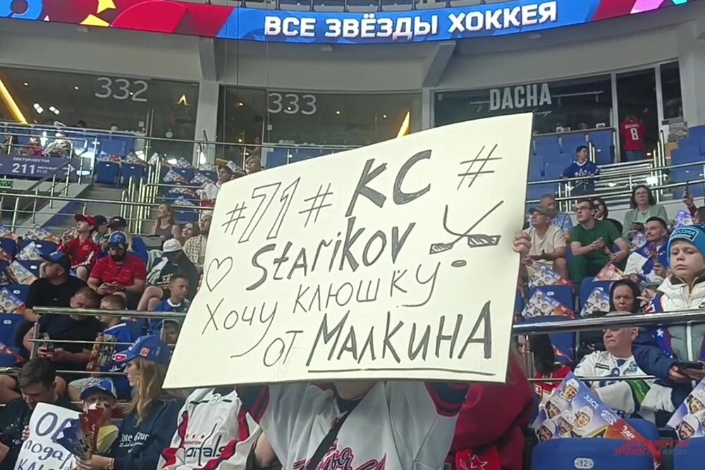    Фото: АиФ/ Лизавета Андреева