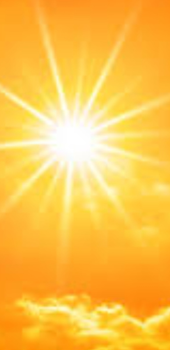 Фото с интернета.