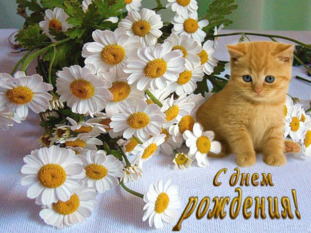 С Днем Рождения! 