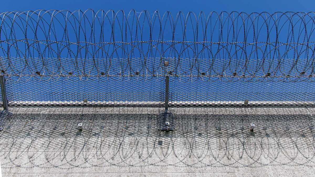     / Источник: © Global Look Press