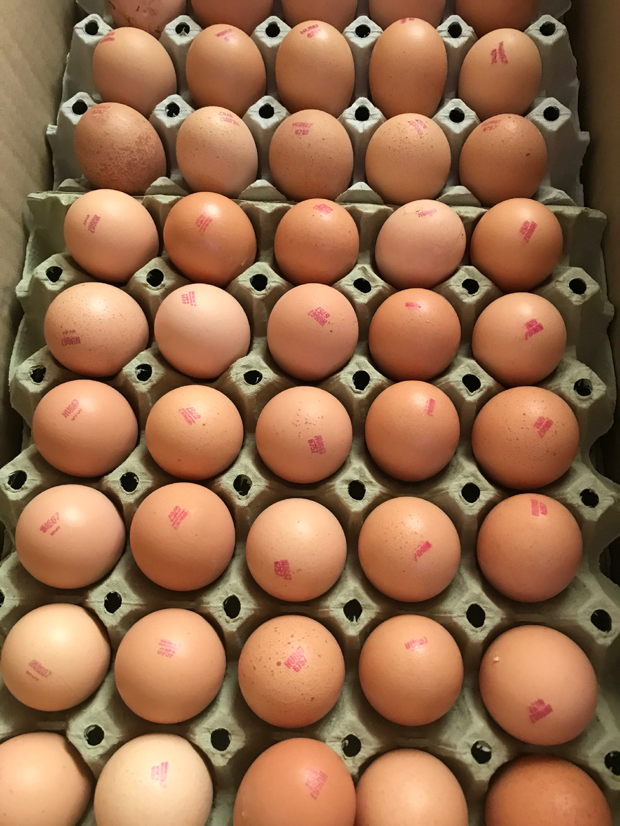 Яйцо как яйцо,похоже на яйцо голошейки