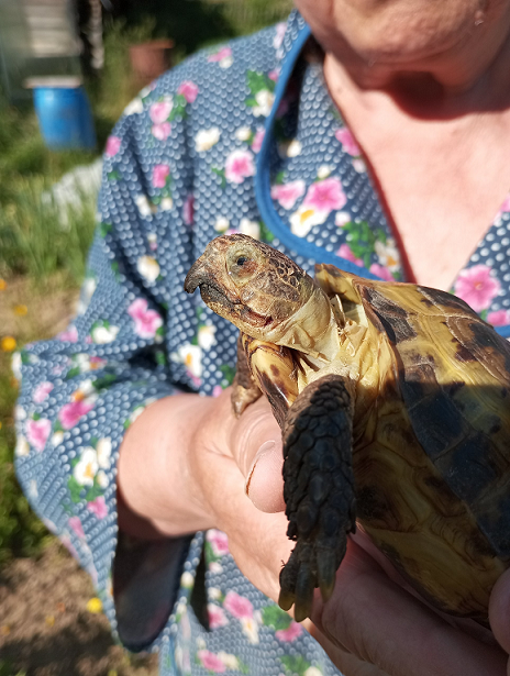 Чучундрочка на ручках