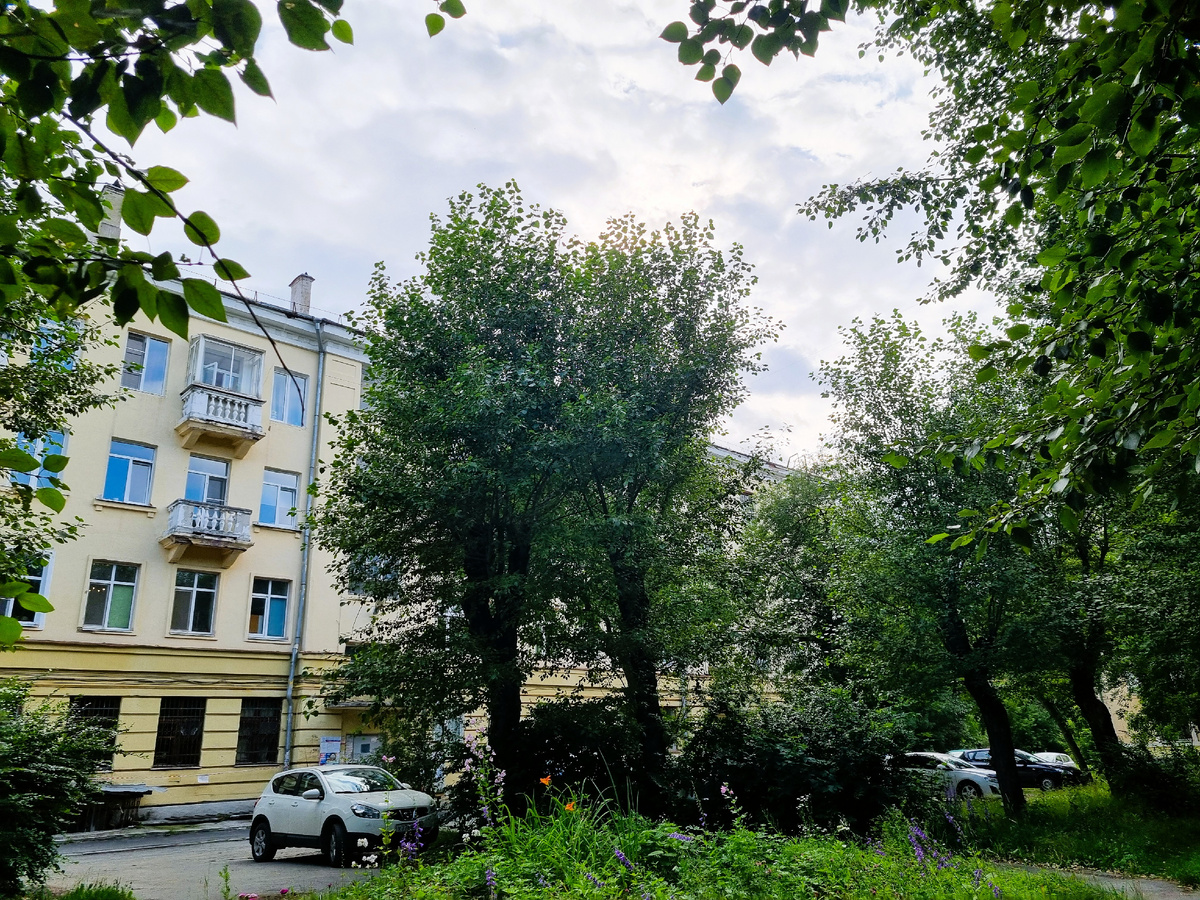 Тополя во дворе Уралмаша. Фото автора