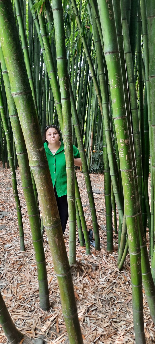 Это фото будет до 