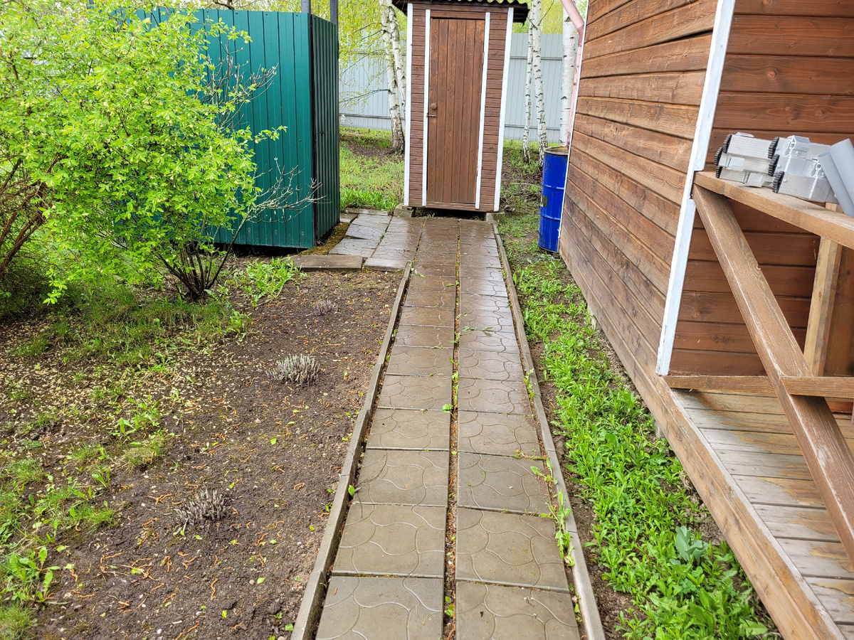 Слева проклюнулась хоста