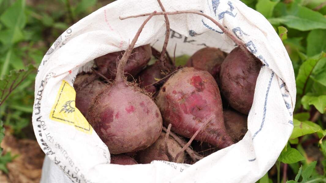    Фото: ИЗВЕСТИЯ/Эдуард Корниенко