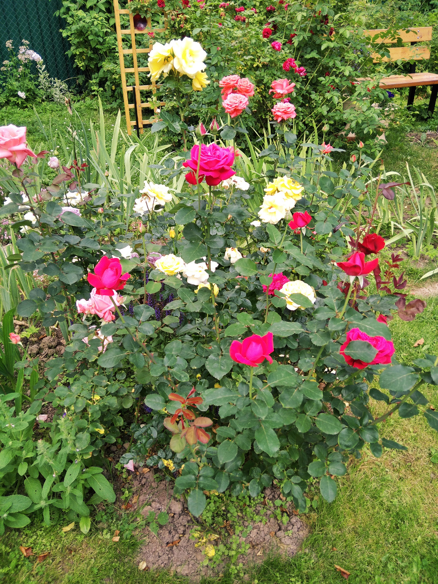  вид с востока