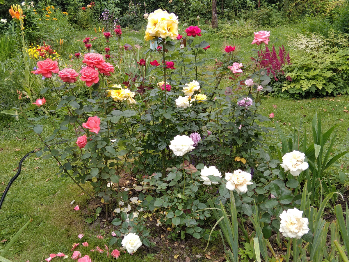 Вид с запада