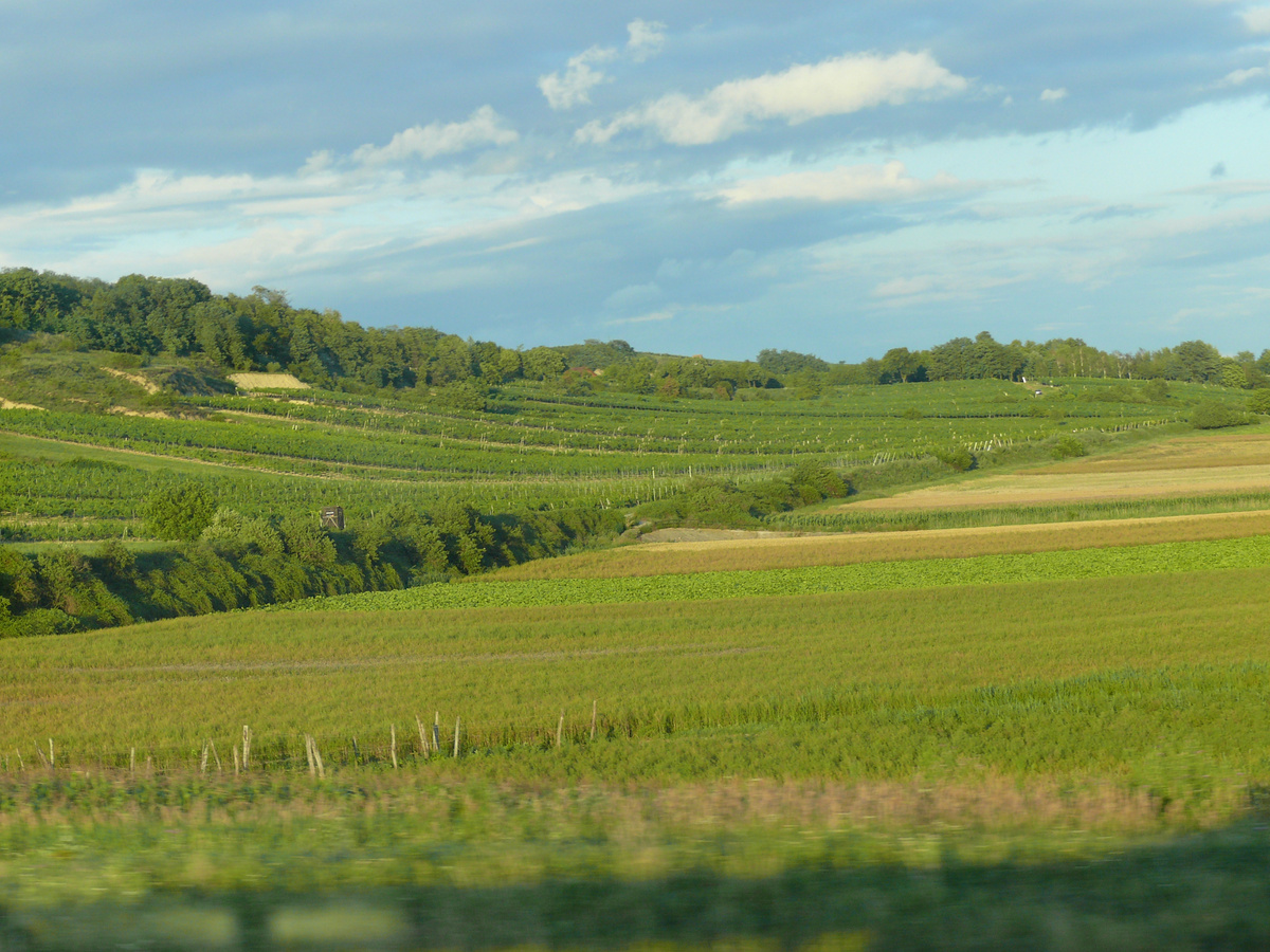 Ухоженные поля