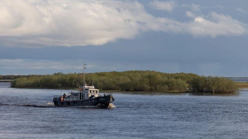    Фото: Федор Воронов / «Ямал-Медиа»