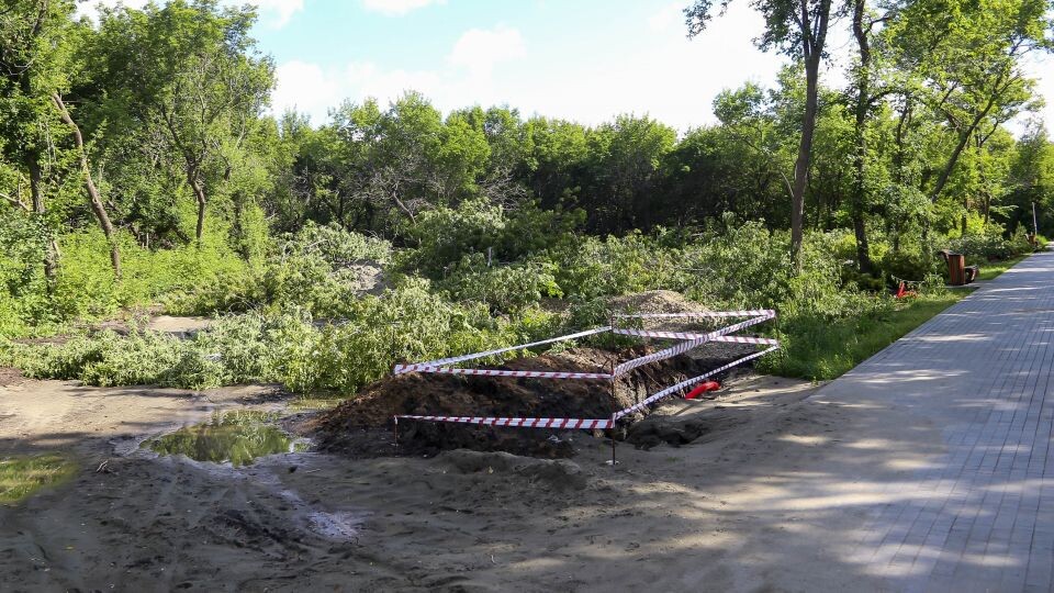    Снос аварийных деревьев в парке Ленина. Источник: Виталий Барабаш/"Толк"