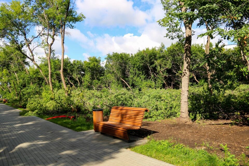    Снос аварийных деревьев в парке Ленина. Источник: Виталий Барабаш/"Толк"