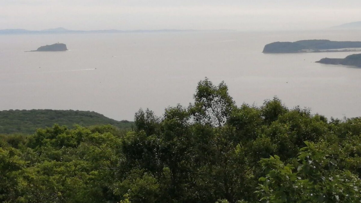     Источник: vostokmedia.com