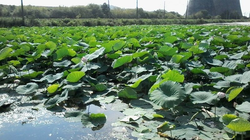     Источник: vostokmedia.com