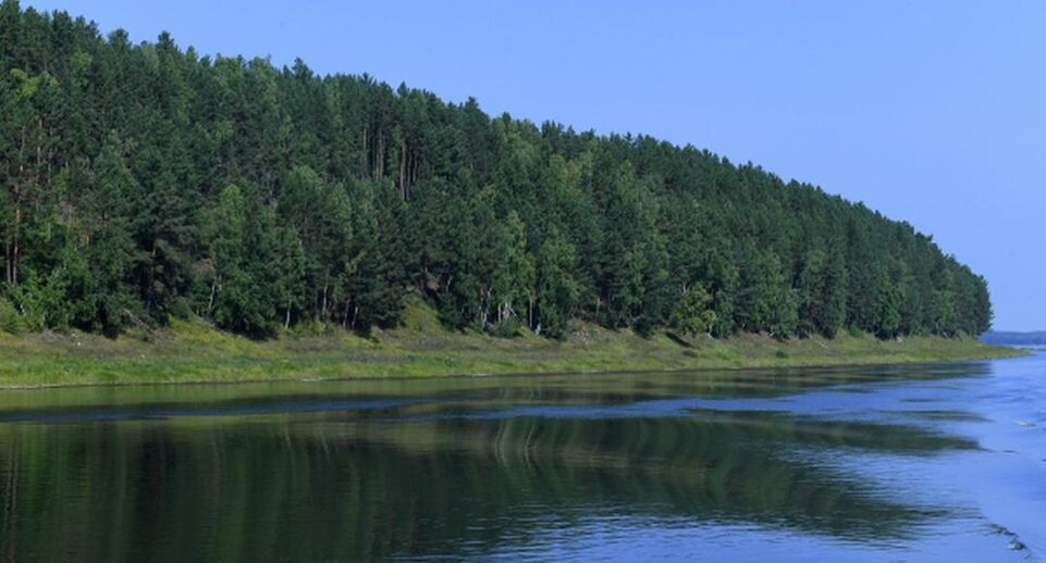    РИА «Новости»