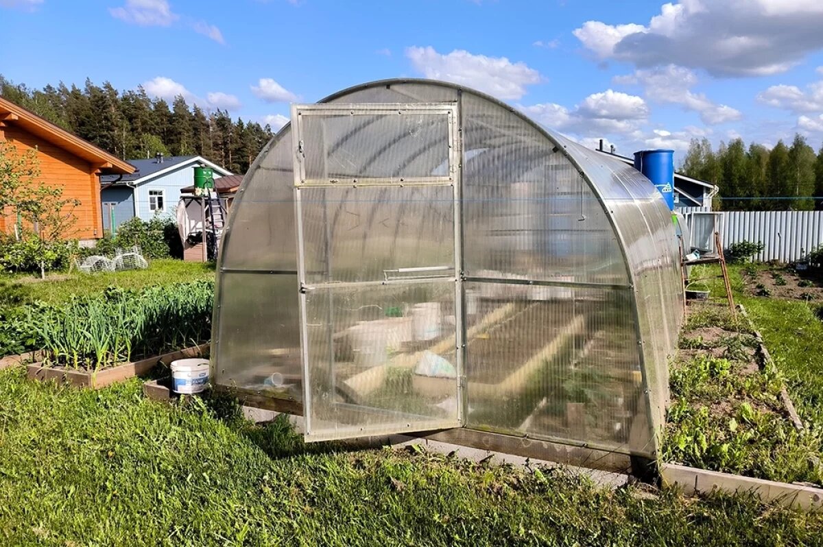    Грядки в порядке.