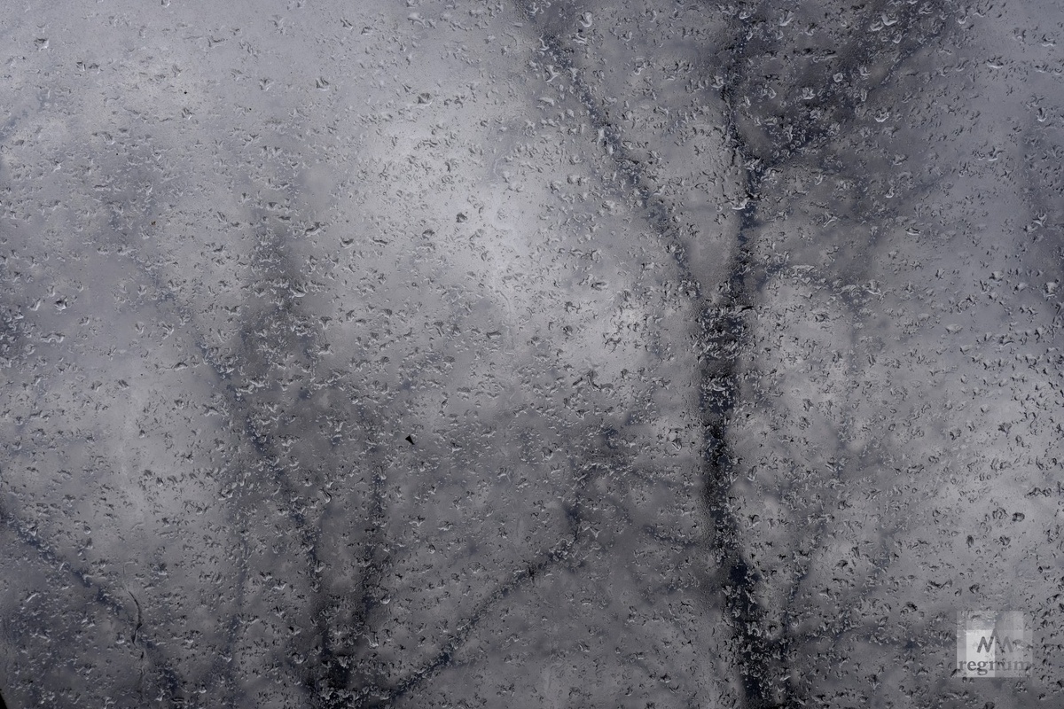    Непогода / Источник: Наталья Стрельцова © ИА REGNUM