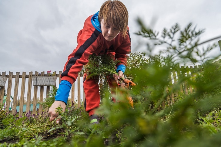    Фото Андрея Заржецкого