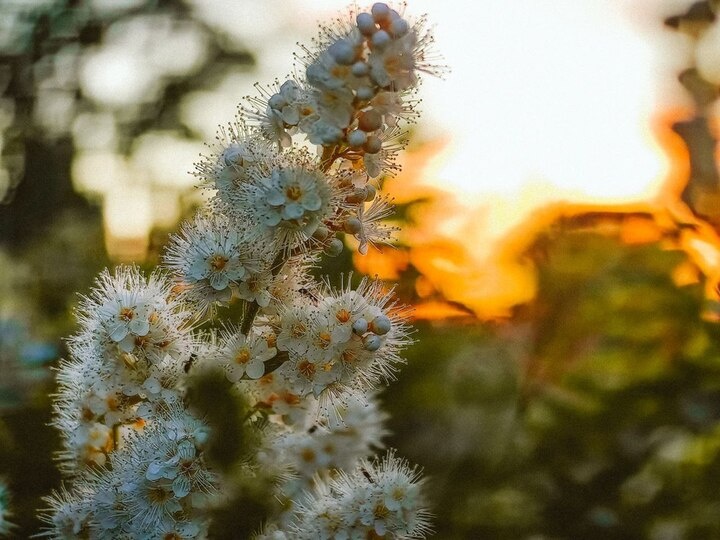     МАГНИТНЫЕ БУРИ В ХАБАРОВСКЕ 14-20 ИЮЛЯ / Ольга Григорьева