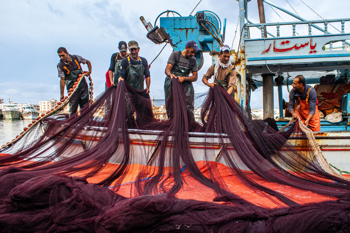 Photo © Gihad AbdElsamie