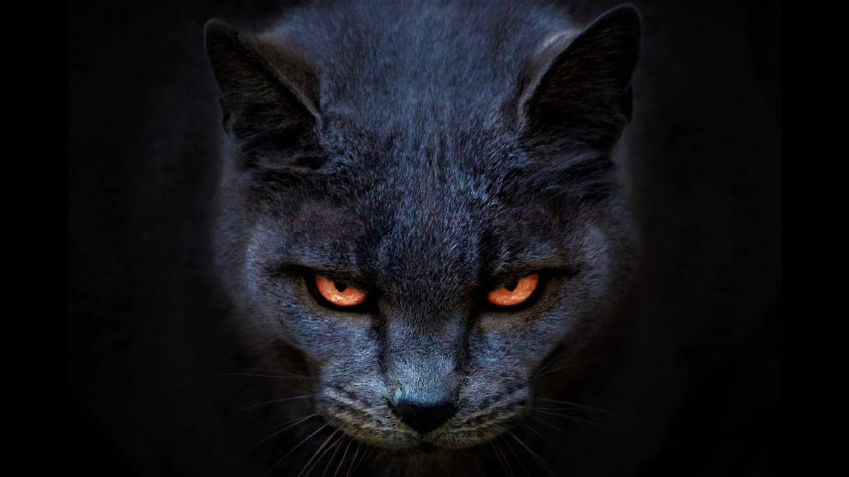 Изображение взято из открытых источников интернета. 