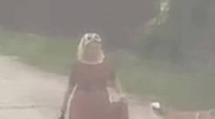    Источник фото: