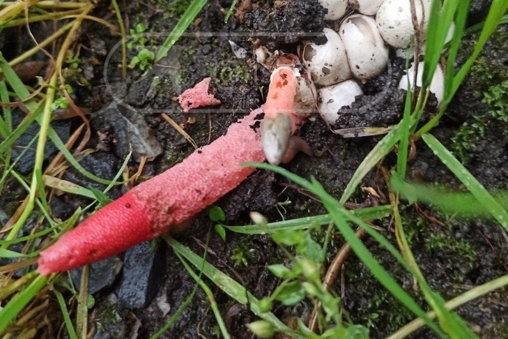    Фото с сайта vk.com/southwest54