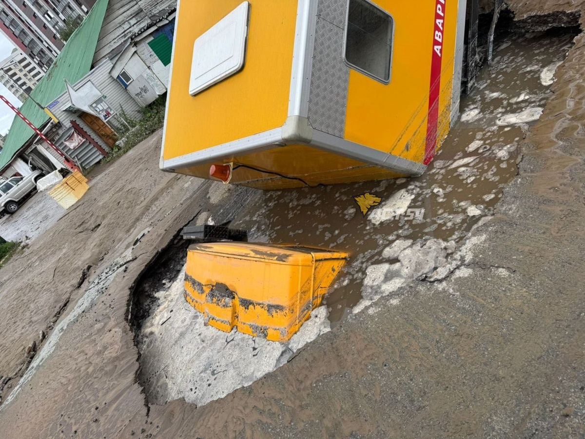    Фото: t.me/teleact54