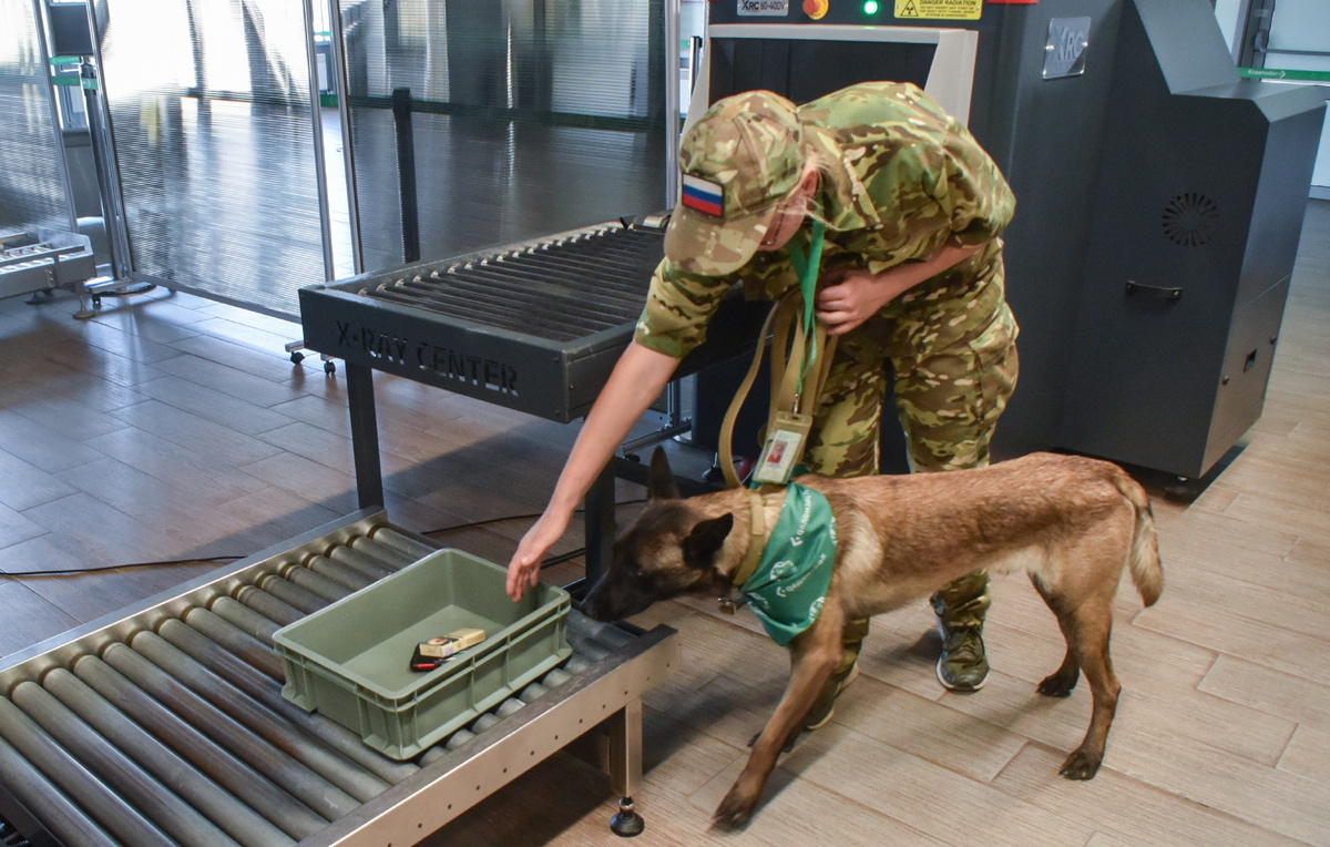 Роман Соколов/ТАСС