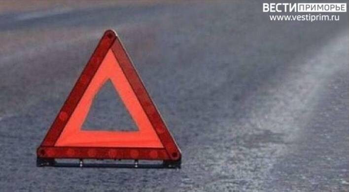    Источник фото: // t.me/prim_police