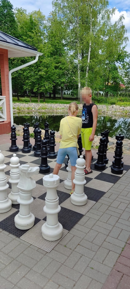 Поиграли в шахматы