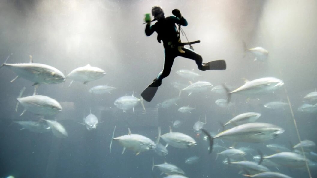    Sergey Metelitsa/Globallookpress