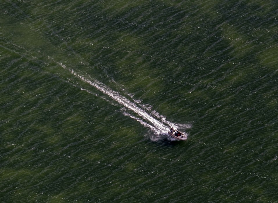    Фото: Serguei Fomine/Globallookpress