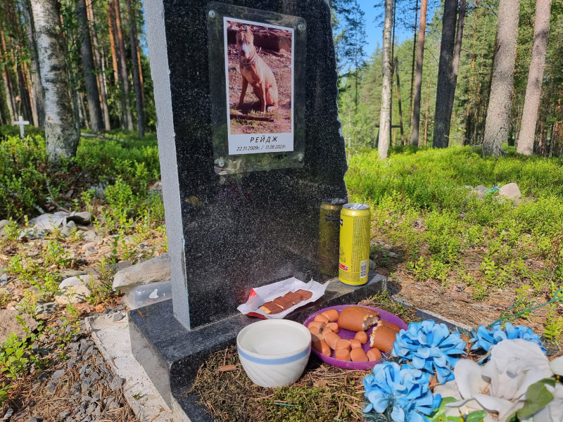    Кладбище собак обнаружено в лесу в Кондопожском районе КарелииИрина Яковлева