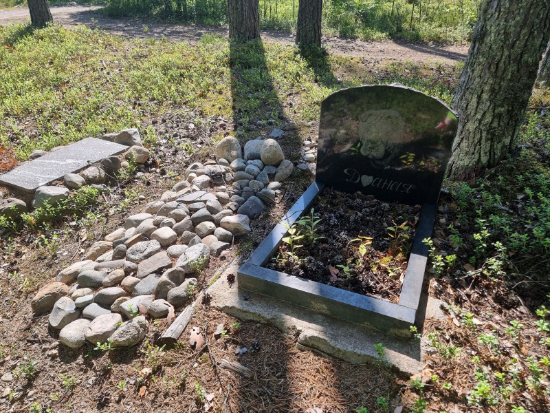   Кладбище собак обнаружено в лесу в Кондопожском районе КарелииИрина Яковлева