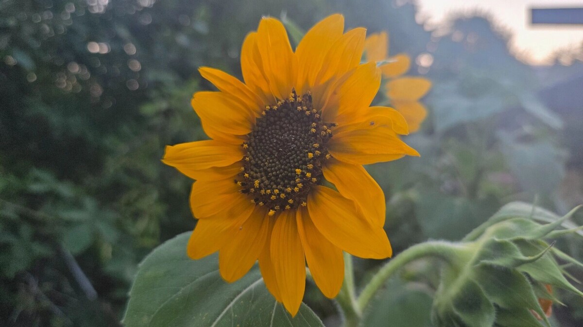     Автор: KubanPress Источник: kubanpress.ru