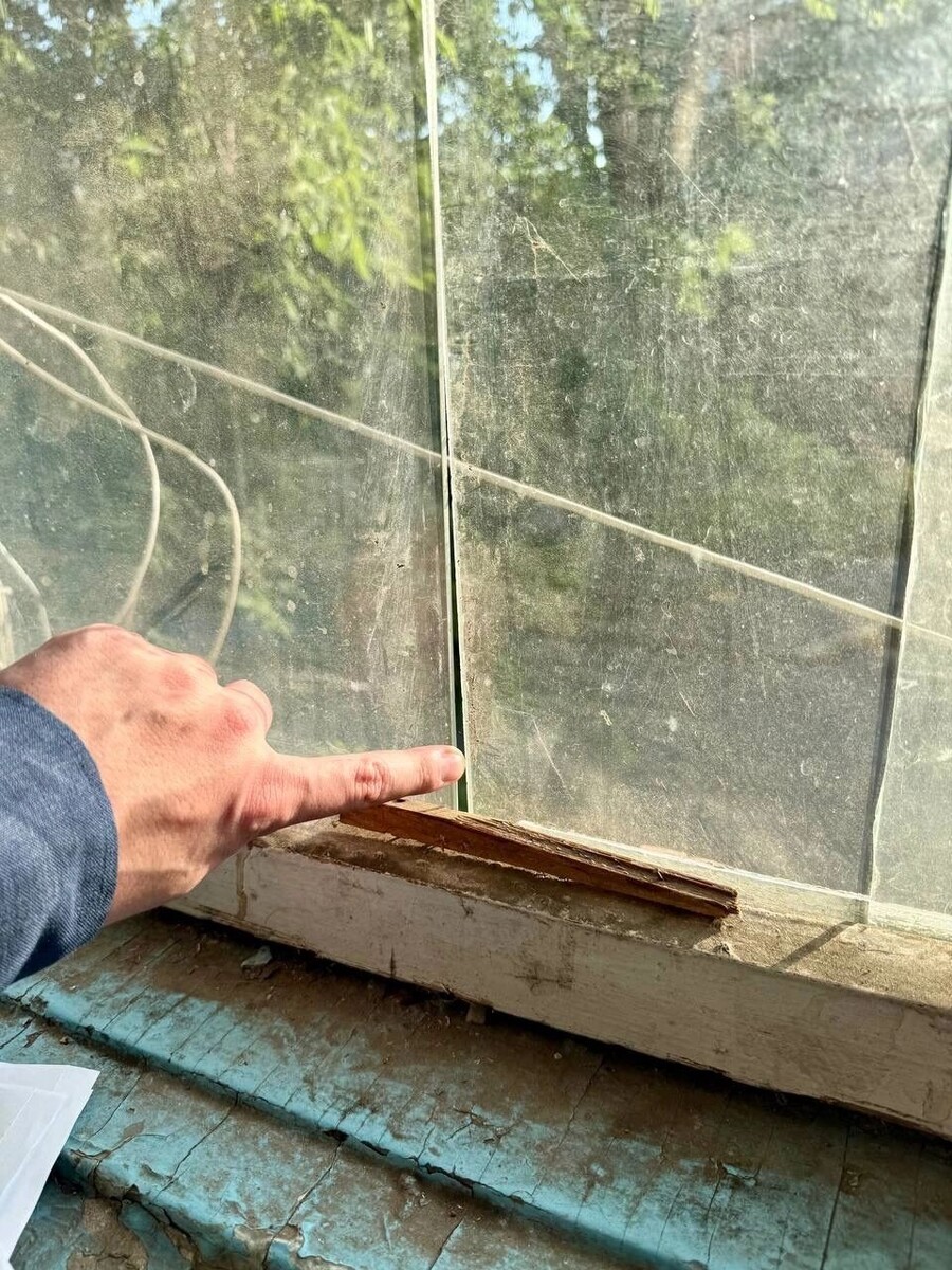     Источник: t.me/Petrov_LDPR