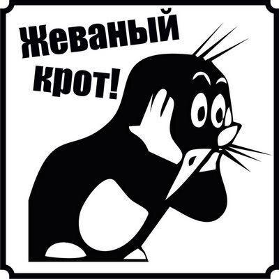 Картинка из интернета