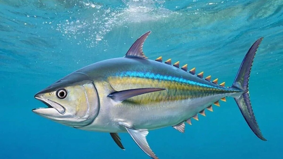    Изображение сгенерировано с помощью ИИ.