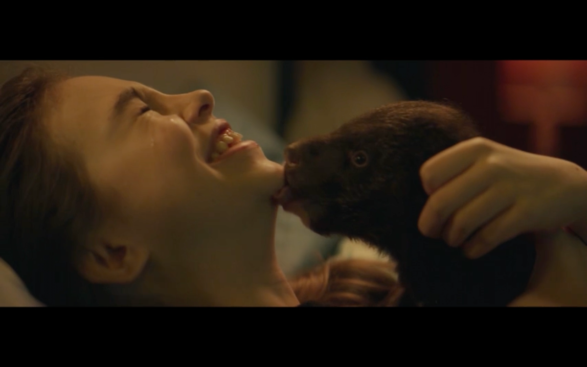 «Я – медведь» (Россия, 2024)