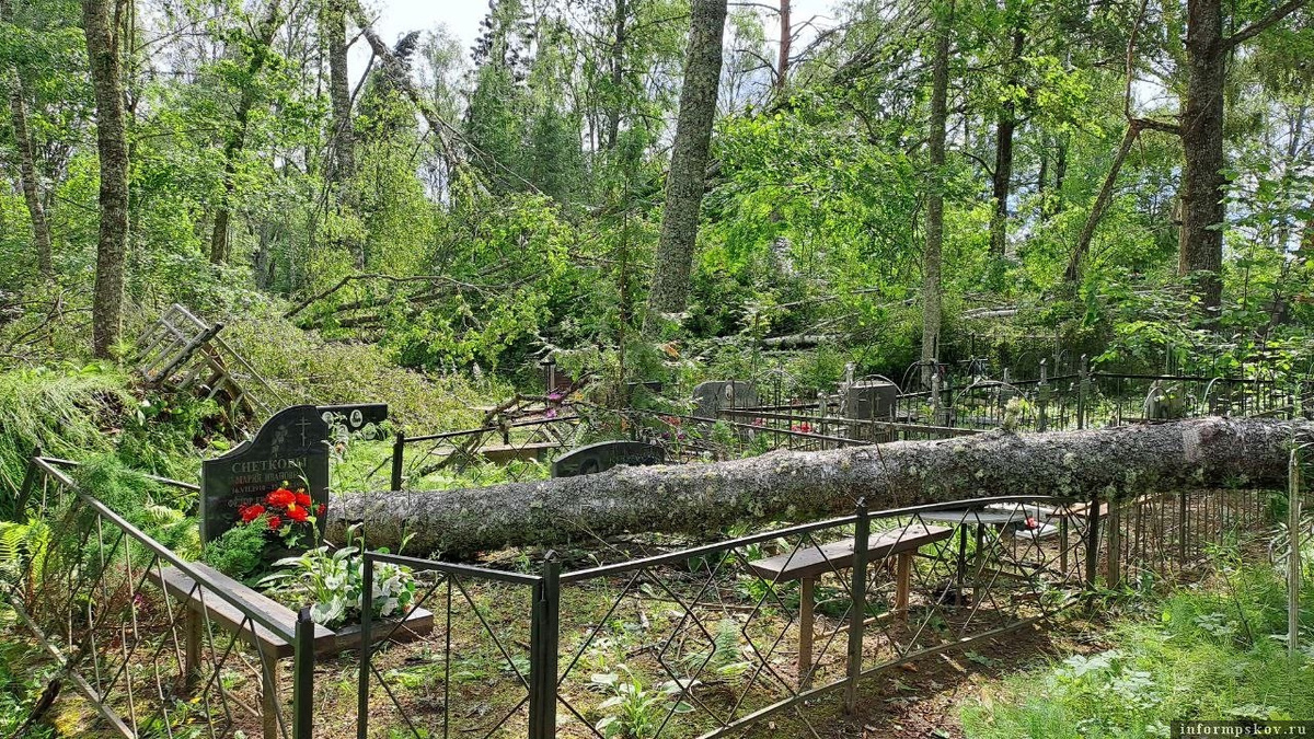 Фото здесь и далее: газета «Печорская правда»