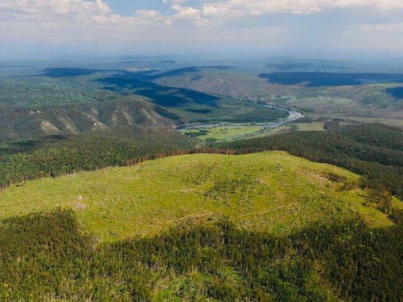 © Фото: Байкальская межрегиональная природоохранная прокуратура
