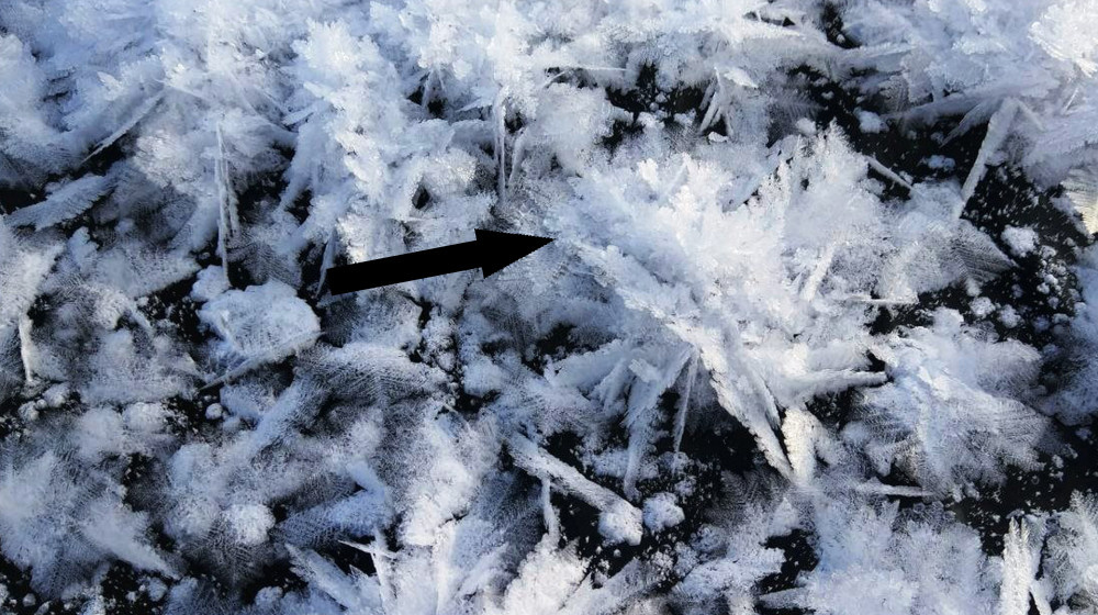    ТАЙНА ВОЛОСАТЫХ ЛЬДИН ПРИРОДА ПОДБРОСИЛА НАМ ЛЕДЯНОЙ РЕБУС