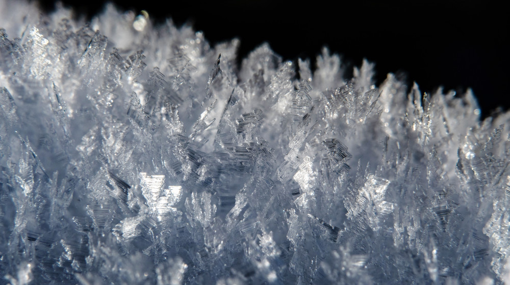    ТАЙНА ВОЛОСАТЫХ ЛЬДИН ПРИРОДА ПОДБРОСИЛА НАМ ЛЕДЯНОЙ РЕБУС