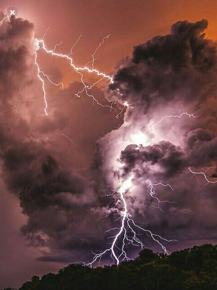        Глава Третья