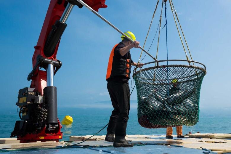    Shutterstock/FOTODOM